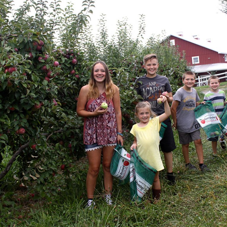 Apple Picking in Warwick, Orange County NY Pennings Farm Market